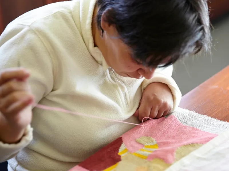 Centers for Activities and Empowerment for Inclusion (CACI)